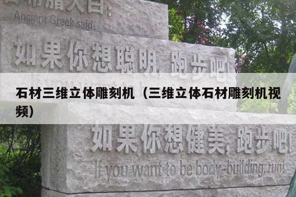 石材三维立体雕刻机(三维立体石材雕刻机视频)