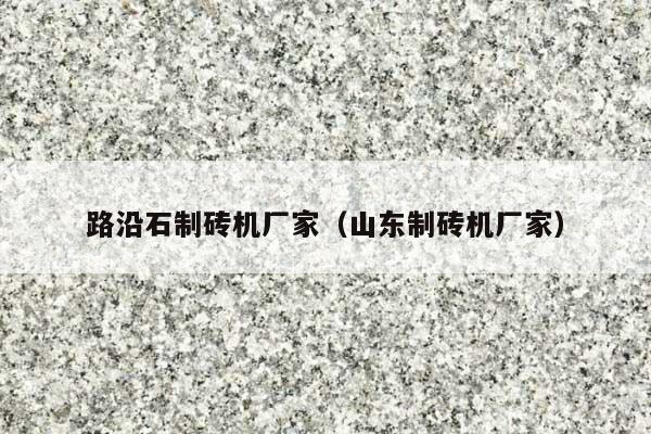 路沿石制砖机厂家(山东制砖机厂家)
