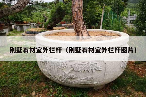 别墅石材室外栏杆(别墅石材室外栏杆图片)