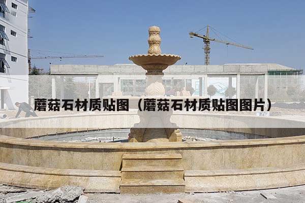 蘑菇石材质贴图(蘑菇石材质贴图图片)