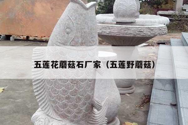 五莲花蘑菇石厂家(五莲野蘑菇)