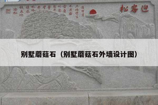 别墅蘑菇石(别墅蘑菇石外墙设计图)