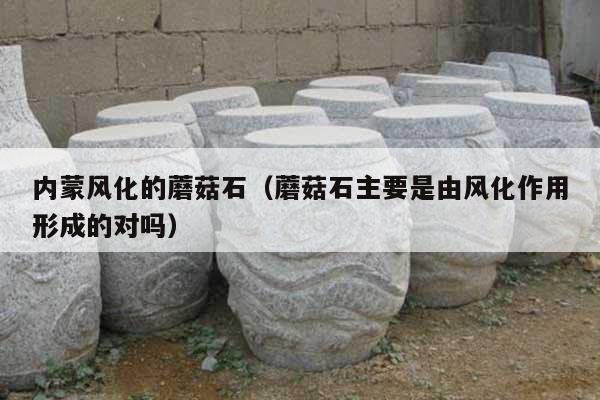 内蒙风化的蘑菇石(蘑菇石主要是由风化作用形成的对吗)