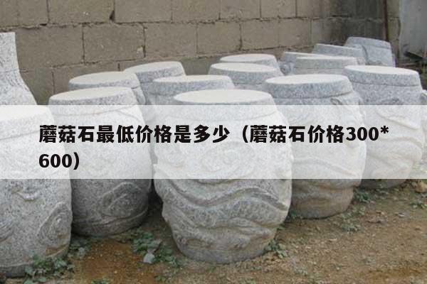 蘑菇石最低价格是多少(蘑菇石价格300*600)