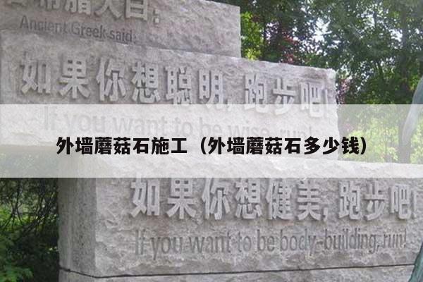 外墙蘑菇石施工(外墙蘑菇石多少钱)
