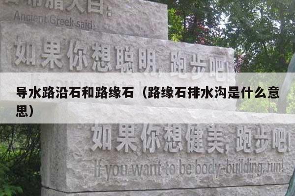 导水路沿石和路缘石(路缘石排水沟是什么意思)