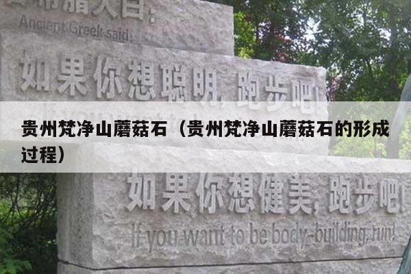 贵州梵净山蘑菇石(贵州梵净山蘑菇石的形成过程)
