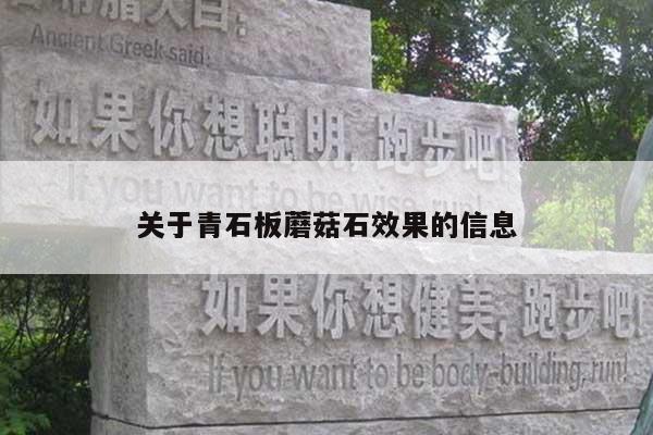关于青石板蘑菇石效果的信息
