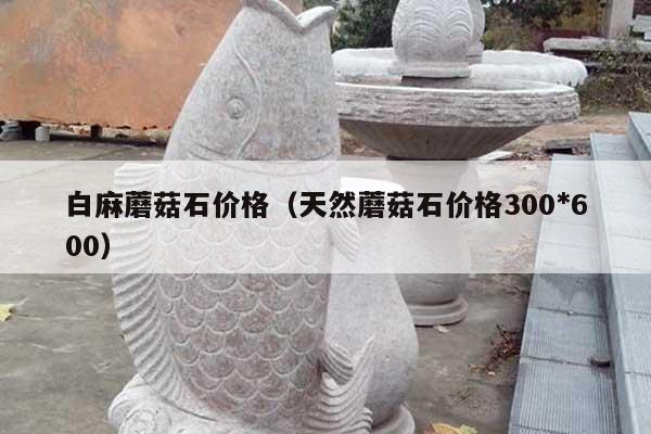 白麻蘑菇石价格(天然蘑菇石价格300*600)