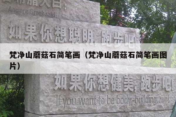 梵净山蘑菇石简笔画(梵净山蘑菇石简笔画图片)