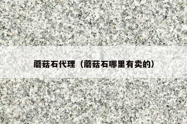 蘑菇石代理(蘑菇石哪里有卖的)