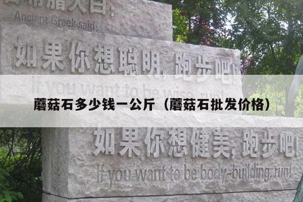 蘑菇石多少钱一公斤(蘑菇石批发价格)