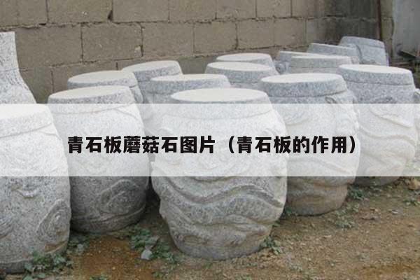 青石板蘑菇石图片(青石板的作用)