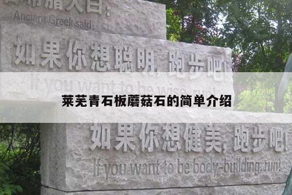 莱芜青石板蘑菇石的简单介绍