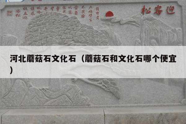 河北蘑菇石文化石(蘑菇石和文化石哪个便宜)