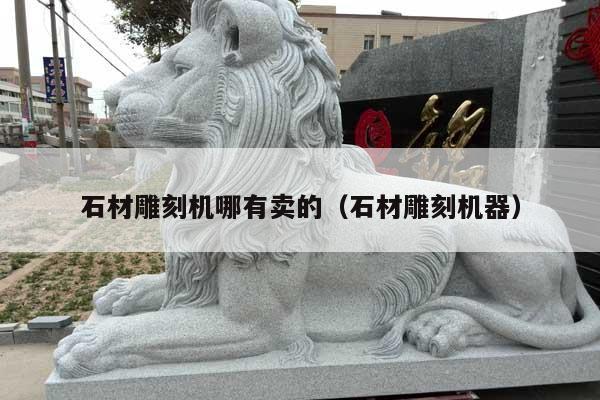 石材雕刻机哪有卖的(石材雕刻机器)