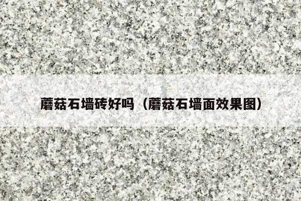 蘑菇石墙砖好吗(蘑菇石墙面效果图)