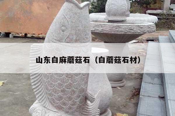 山东白麻蘑菇石(白蘑菇石材)