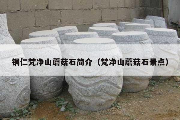 铜仁梵净山蘑菇石简介(梵净山蘑菇石景点)