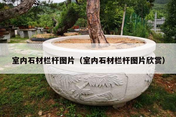 室内石材栏杆图片(室内石材栏杆图片欣赏)