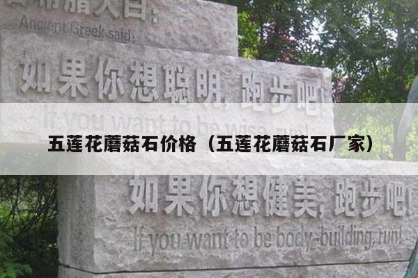 五莲花蘑菇石价格(五莲花蘑菇石厂家)