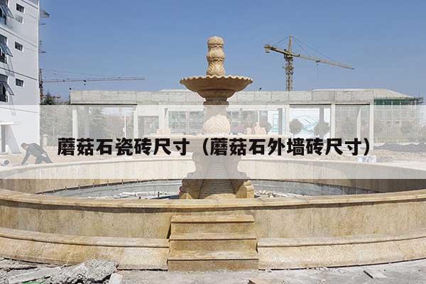 蘑菇石瓷砖尺寸(蘑菇石外墙砖尺寸)