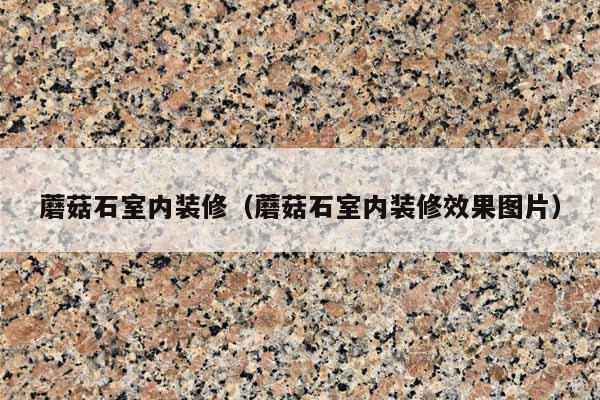 蘑菇石室内装修(蘑菇石室内装修效果图片)