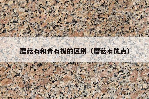 蘑菇石和青石板的区别(蘑菇石优点)