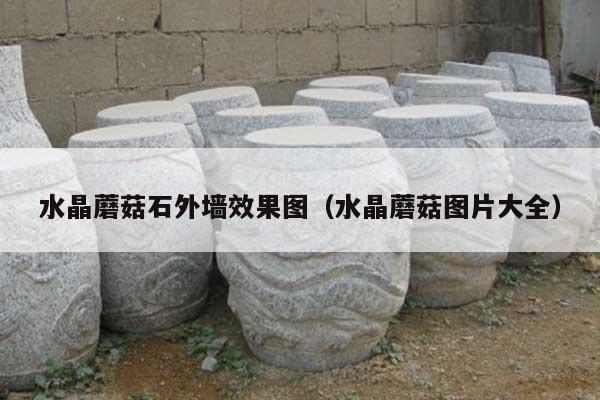 水晶蘑菇石外墙效果图(水晶蘑菇图片大全)