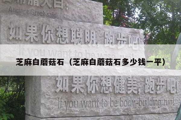芝麻白蘑菇石(芝麻白蘑菇石多少钱一平)