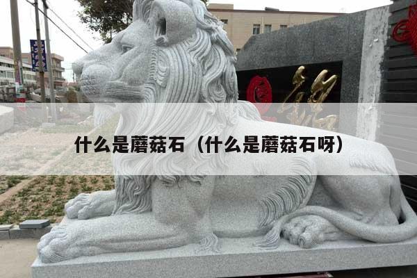 什么是蘑菇石(什么是蘑菇石呀)