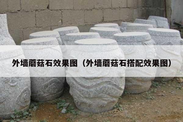 外墙蘑菇石效果图(外墙蘑菇石搭配效果图)