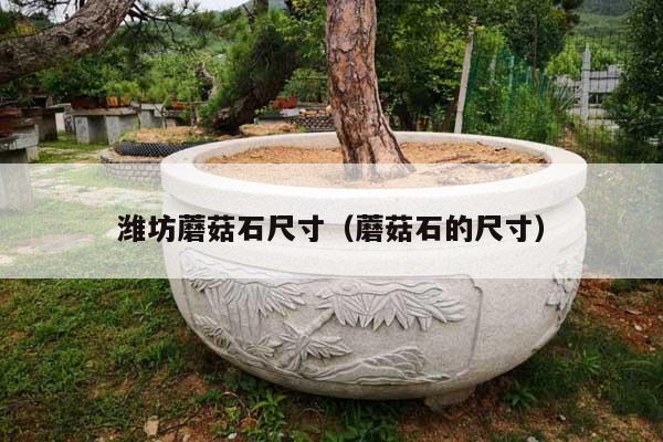 潍坊蘑菇石尺寸(蘑菇石的尺寸)