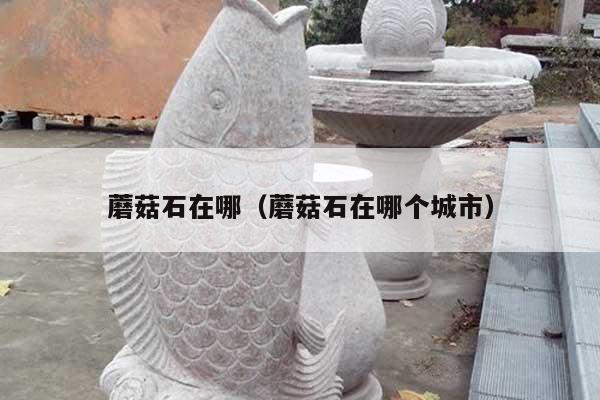 蘑菇石在哪(蘑菇石在哪个城市)