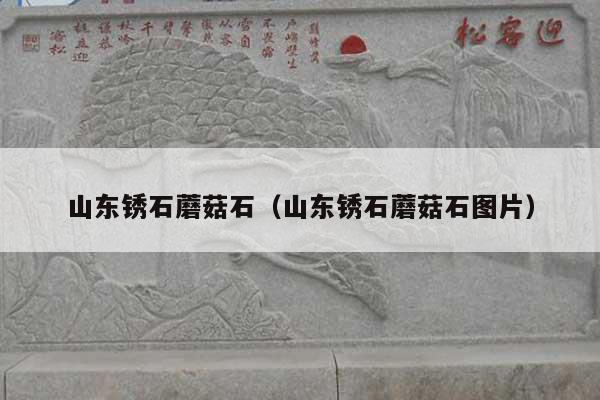 山东锈石蘑菇石(山东锈石蘑菇石图片)