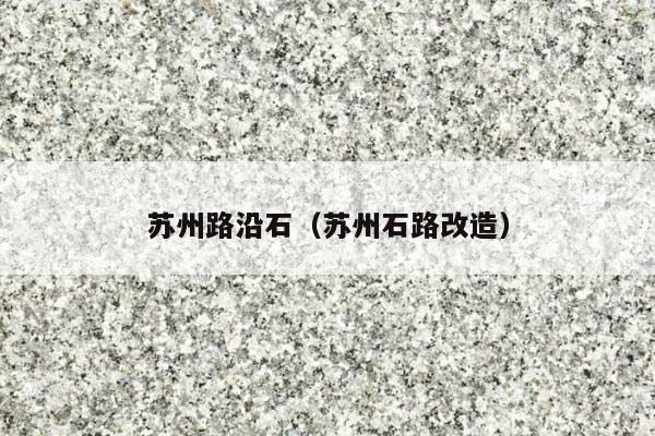 苏州路沿石(苏州石路改造)