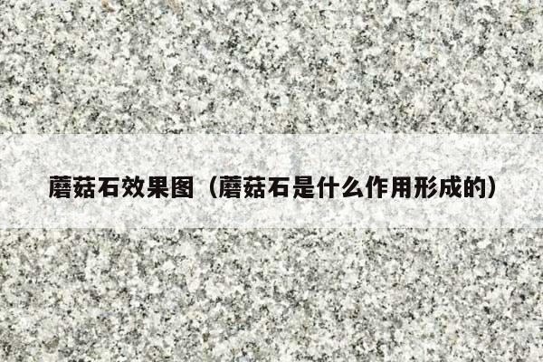 蘑菇石效果图(蘑菇石是什么作用形成的)