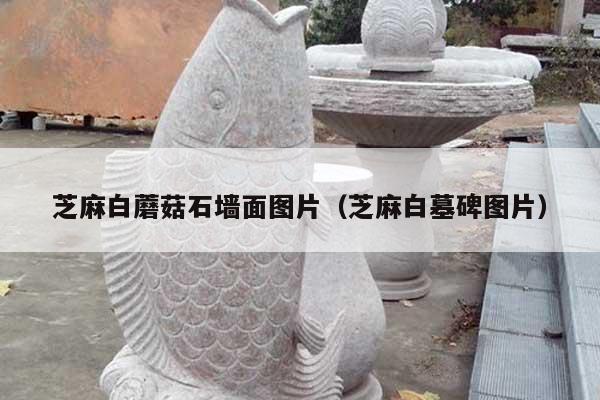 芝麻白蘑菇石墙面图片(芝麻白墓碑图片)