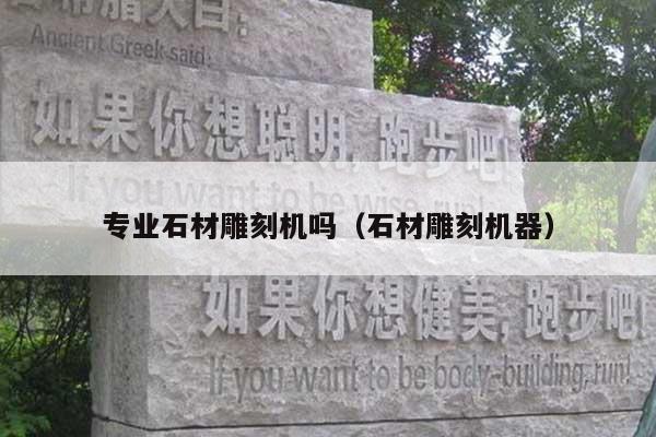 专业石材雕刻机吗(石材雕刻机器)