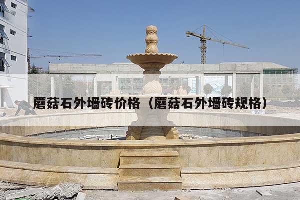 蘑菇石外墙砖价格(蘑菇石外墙砖规格)
