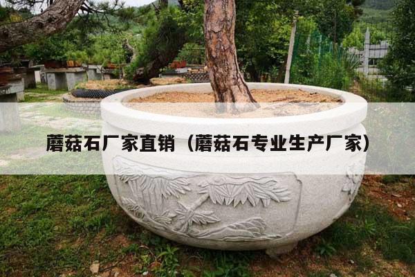 蘑菇石厂家直销(蘑菇石专业生产厂家)