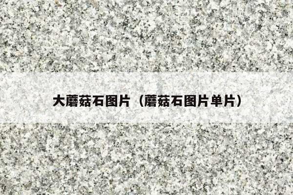 大蘑菇石图片(蘑菇石图片单片)