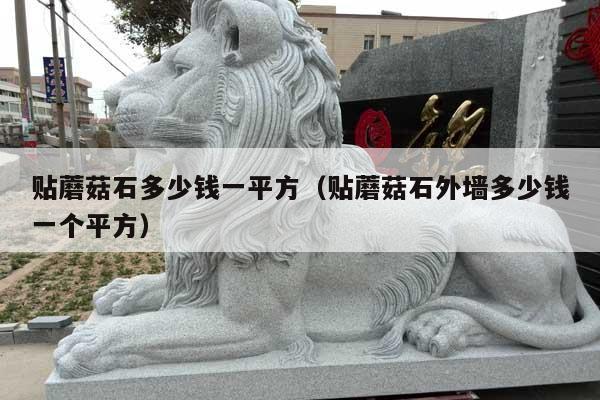 贴蘑菇石多少钱一平方(贴蘑菇石外墙多少钱一个平方)