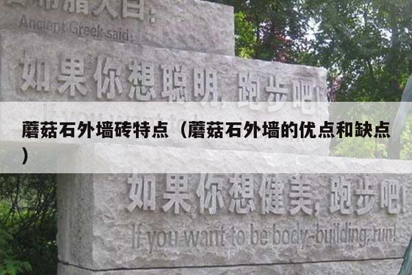 蘑菇石外墙砖特点(蘑菇石外墙的优点和缺点)