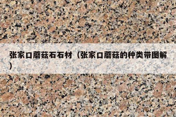 张家口蘑菇石石材(张家口蘑菇的种类带图解)