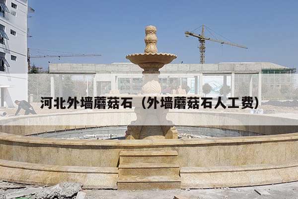 河北外墙蘑菇石(外墙蘑菇石人工费)