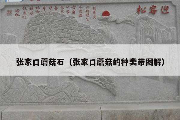 张家口蘑菇石(张家口蘑菇的种类带图解)