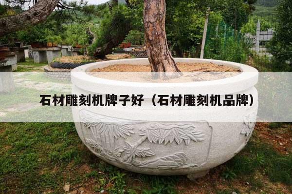 石材雕刻机牌子好(石材雕刻机品牌)