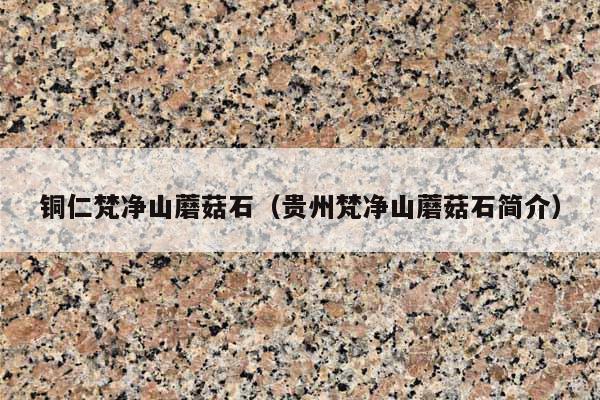 铜仁梵净山蘑菇石(贵州梵净山蘑菇石简介)