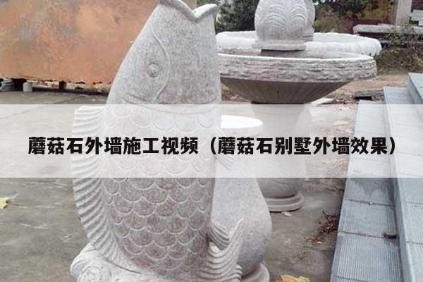 蘑菇石外墙施工视频(蘑菇石别墅外墙效果)